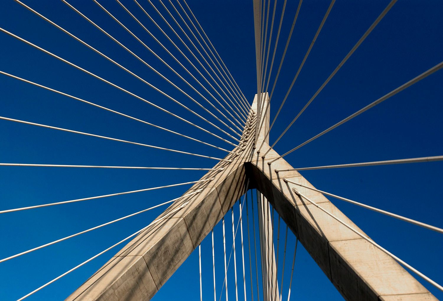 Architectural Detail of the Zakim Bridge