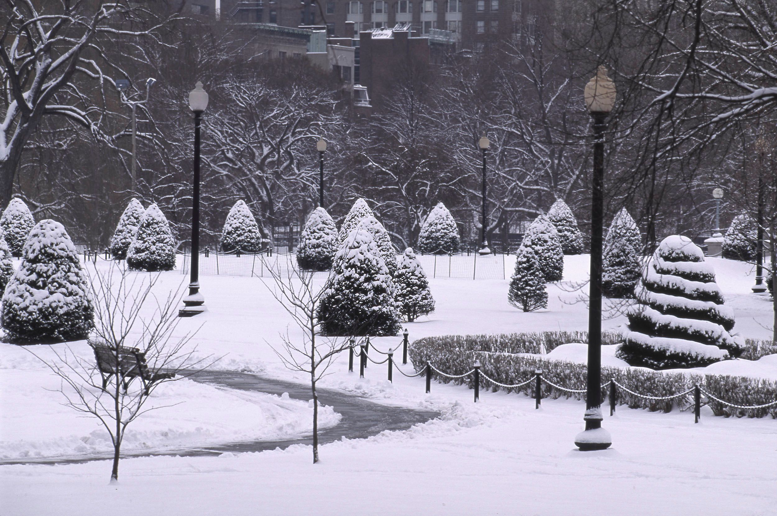 Boston Garden