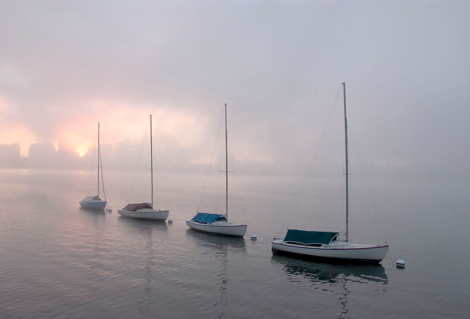 Charles River with Sailboats