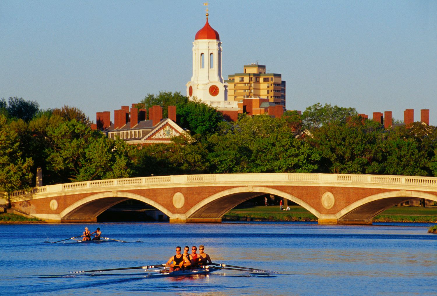 Rowers at Weeks Bridge, Cambridge, MA