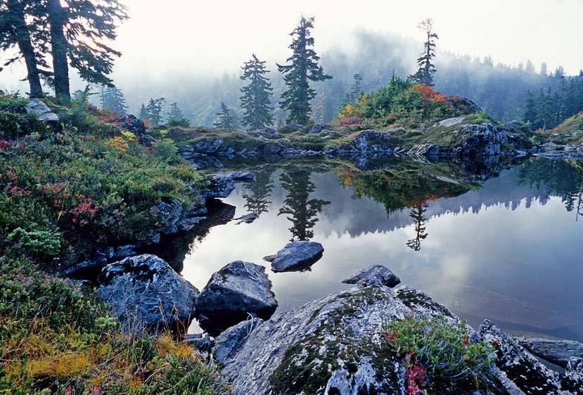 Off the Mountain Loop Highway, Washington. Kodak E100VS film. Autumn Mist, Cutthroat Lakes