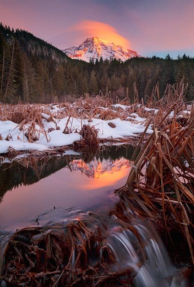 Mount Rainier National Park, Washington Winter Spring, Mountain Meadow