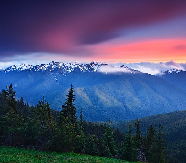 Olympic National Park, Washington Clearing over Olympus from Hurricane Ridge