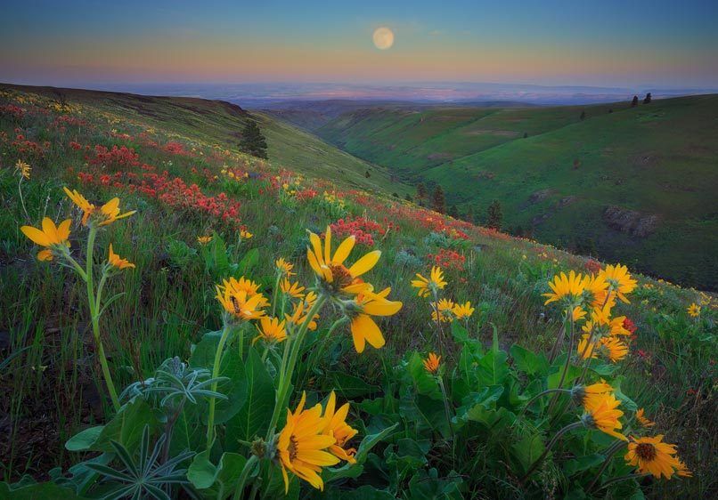 Colockum Pass, Central Washington Full Moon on the Brewton