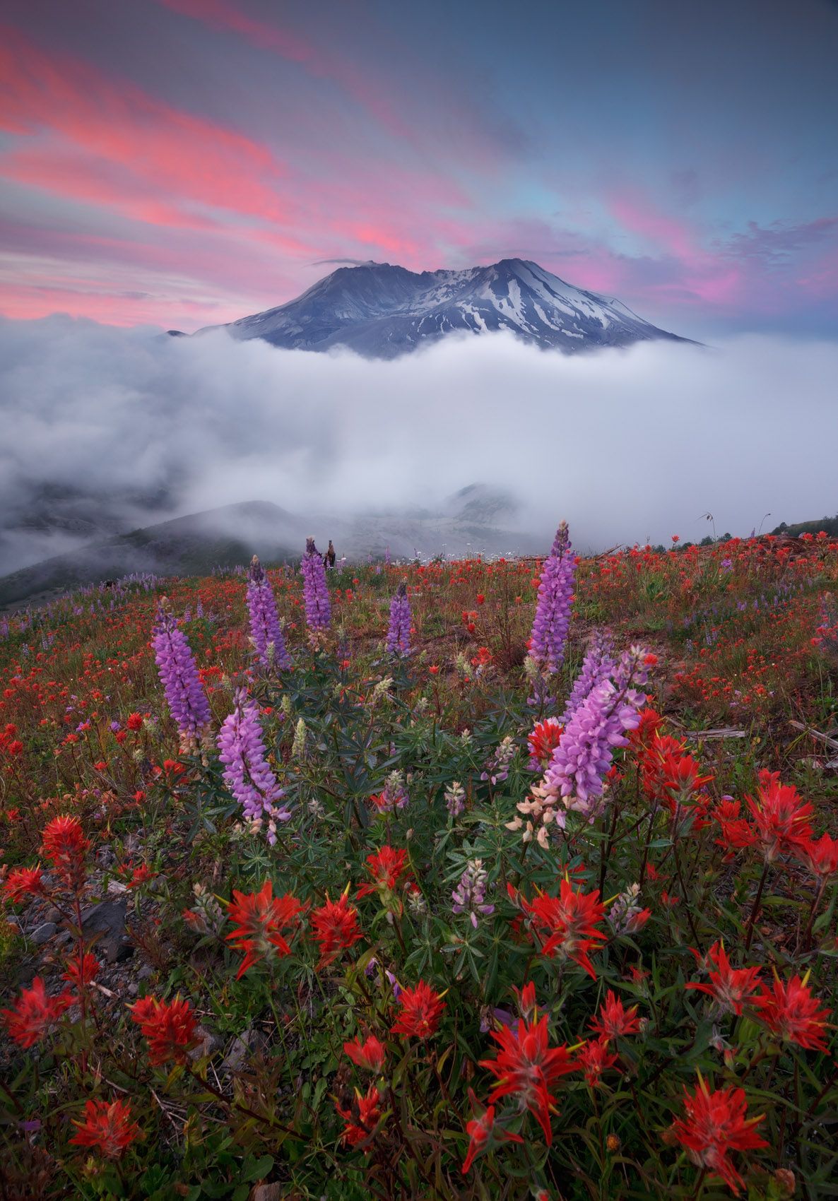 Mount Saint Helens National Monument, Washington State First of July