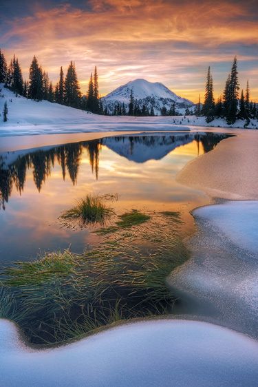 (just outside) Mount Rainier National Park, Washington. First Place winner, Outdoor Photographer magazine 6th Annual Great Outdoors competition. Appears in Outdoor Photographer magazine September 2015 issue.Judges' Choice Award, NANPA Showcase 2015 competition. Changing Seasons, Chinook Pass