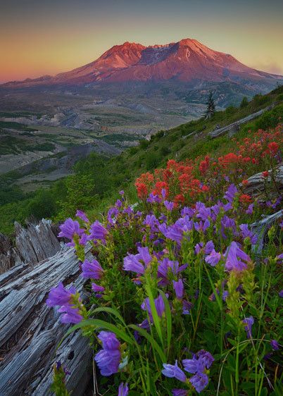 Mount Saint Helens National Monument, Washington Warm Light in the Blast Zone