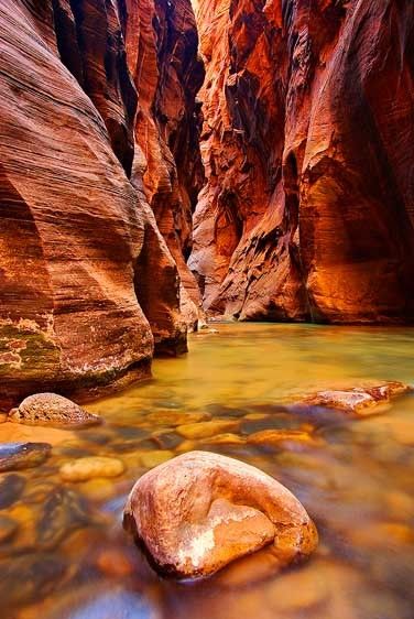 Zion National Park, Utah Narrows Morning, Virgin River