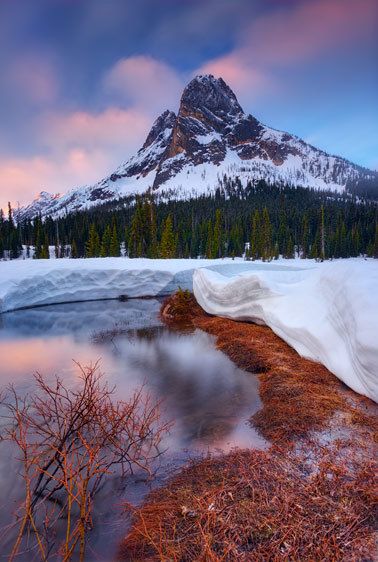 North Cascades National Park, Washington One for the Show (Vertical)