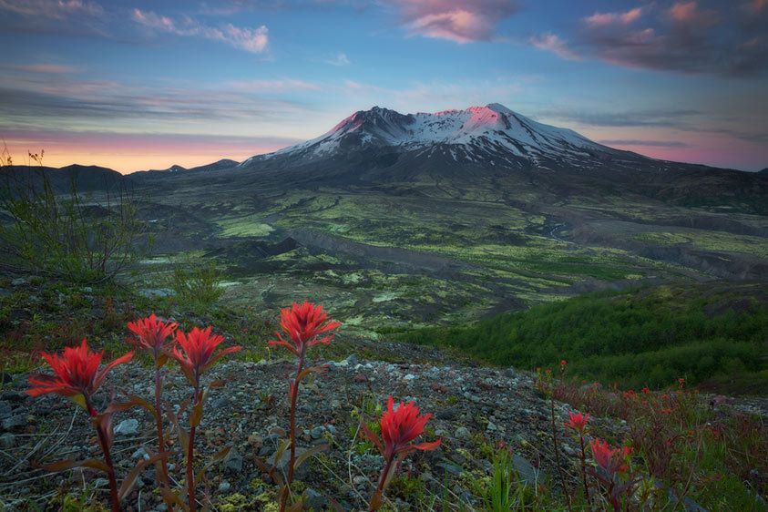 Mount St Helens National Monument, Washington Rejuvenation