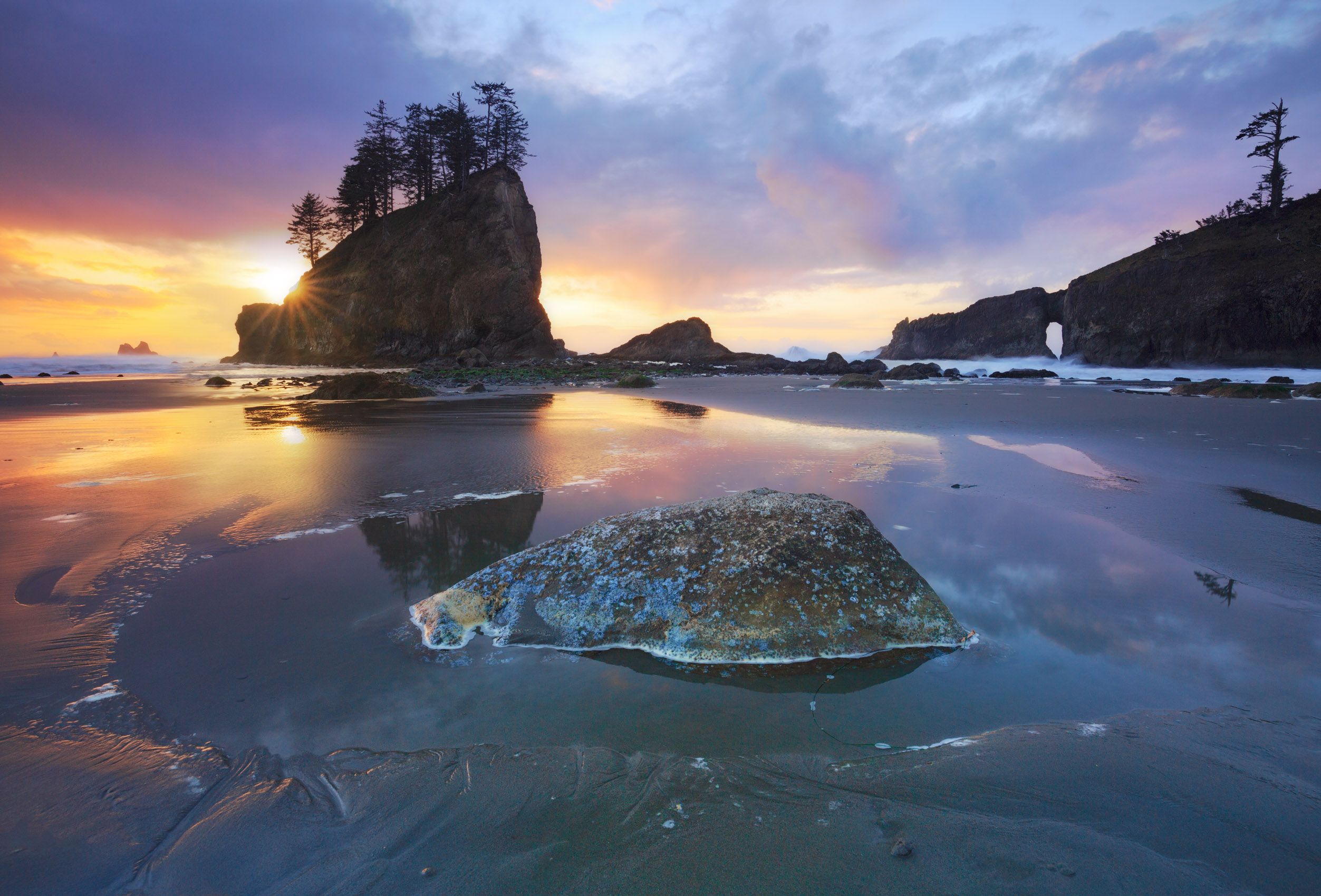 Olympic National Park, Washington Serene Second Beach