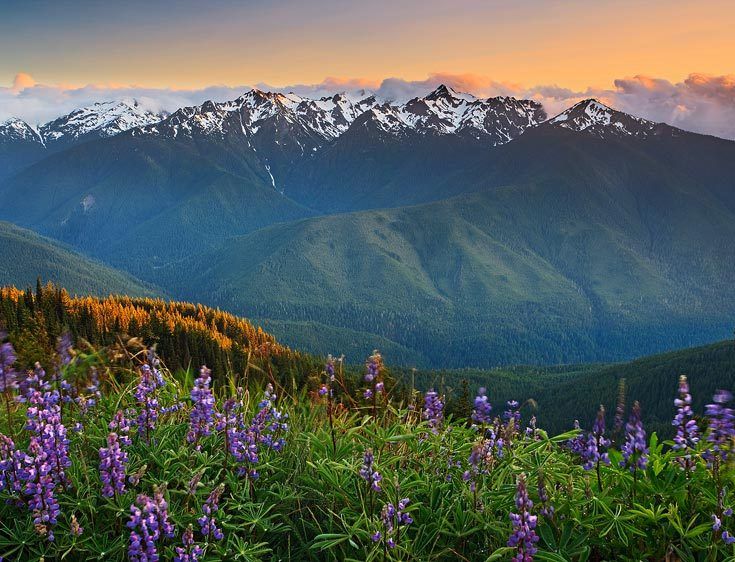Olympic National Park, Washington You Never Know, Hurricane Ridge