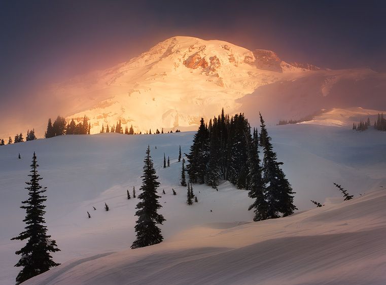 Mount Rainier National Park Centerstage, Alta Vista