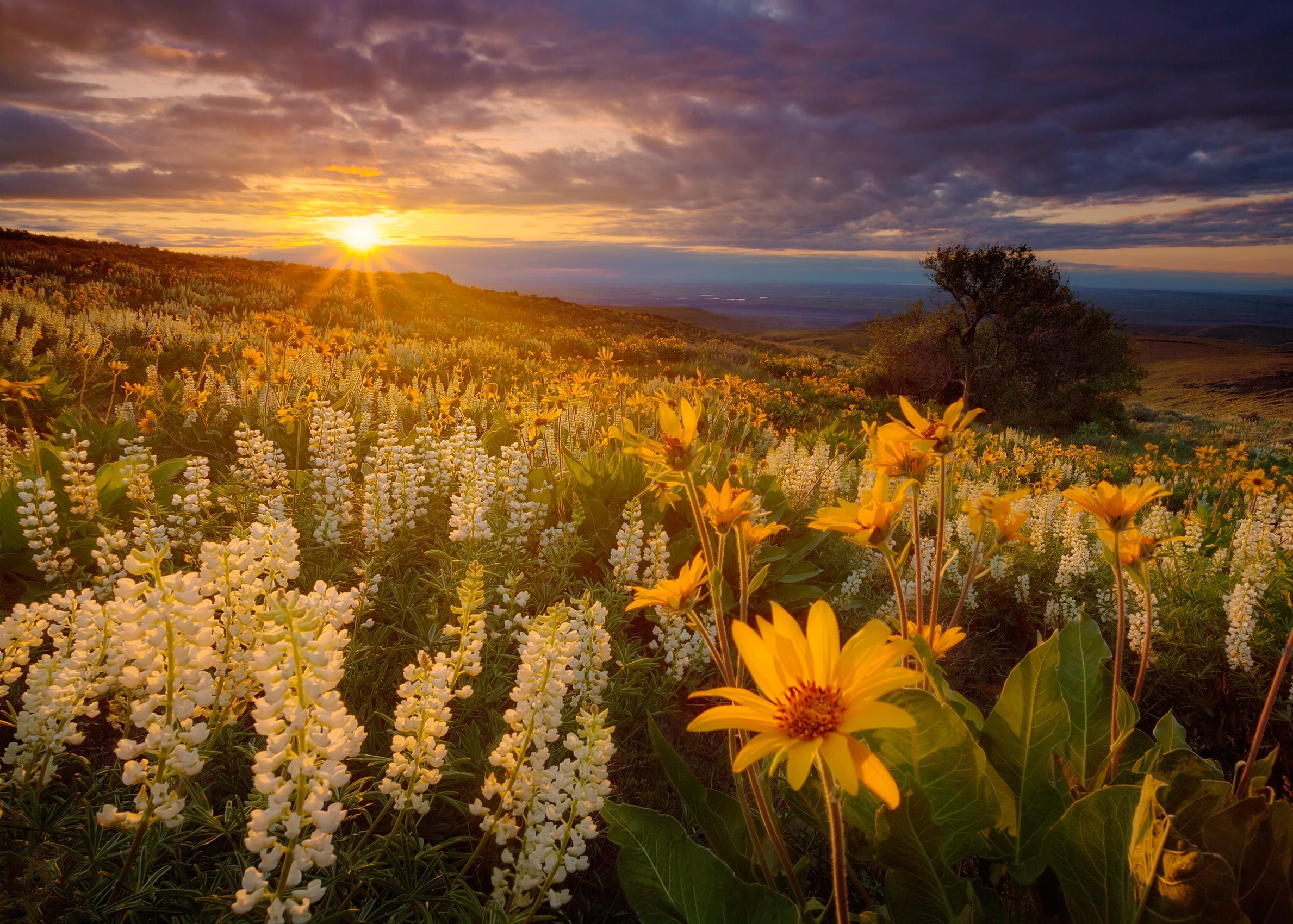Central Washington State. Top Ten, NANPA Showcase 2014 Creation in the Colockum