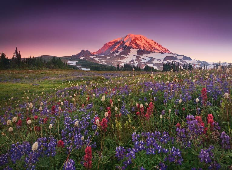 Mount Rainier National Park, Washington At Last, Spray Park
