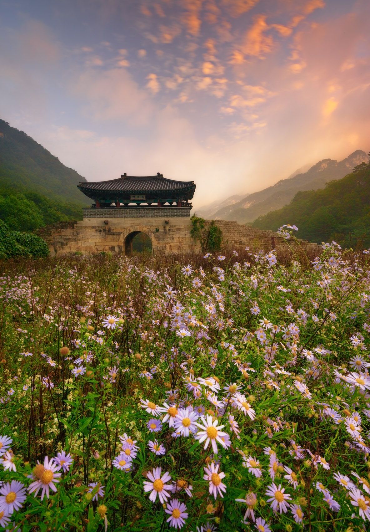 WorakSan National Park, South Korea Aster Riot at the Ruins