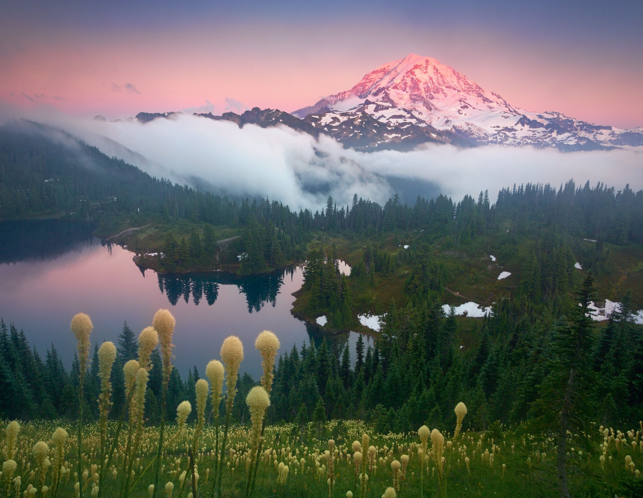 Mount Rainier National Park, Washington Weather Breaks, Bear Grass and Alpine Lake