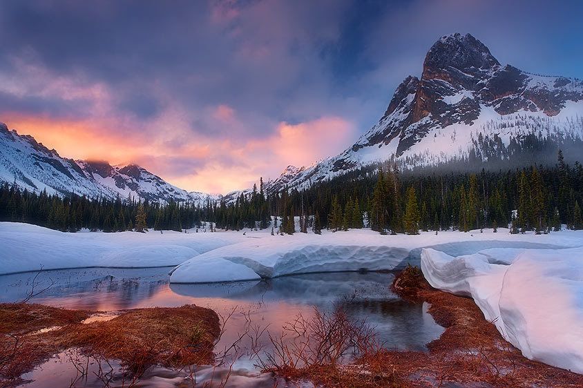 North Cascades National Park, Washington. Selected for the North American Nature Photography Association (NANPA) Showcase 2012 competition and Expressions publication. One for the Show