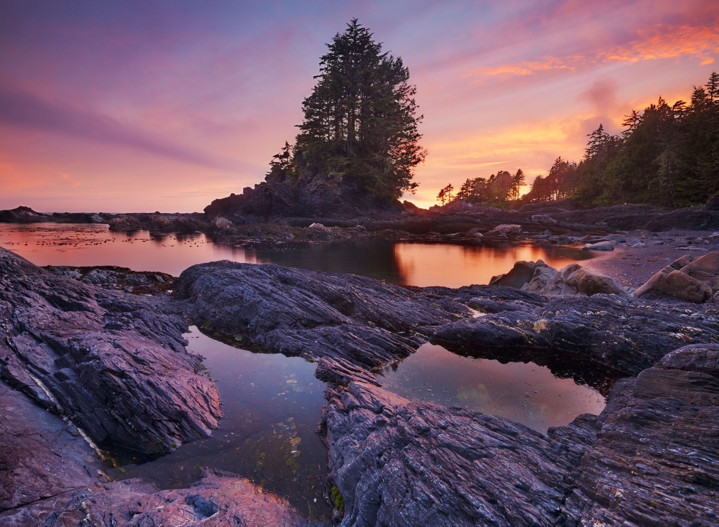 Vancouver Island, British Columbia Light on the Bay
