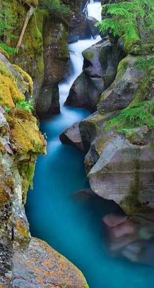 Glacier National Park, Montana Avalanche Gorge Flow (Vertical Panorama)