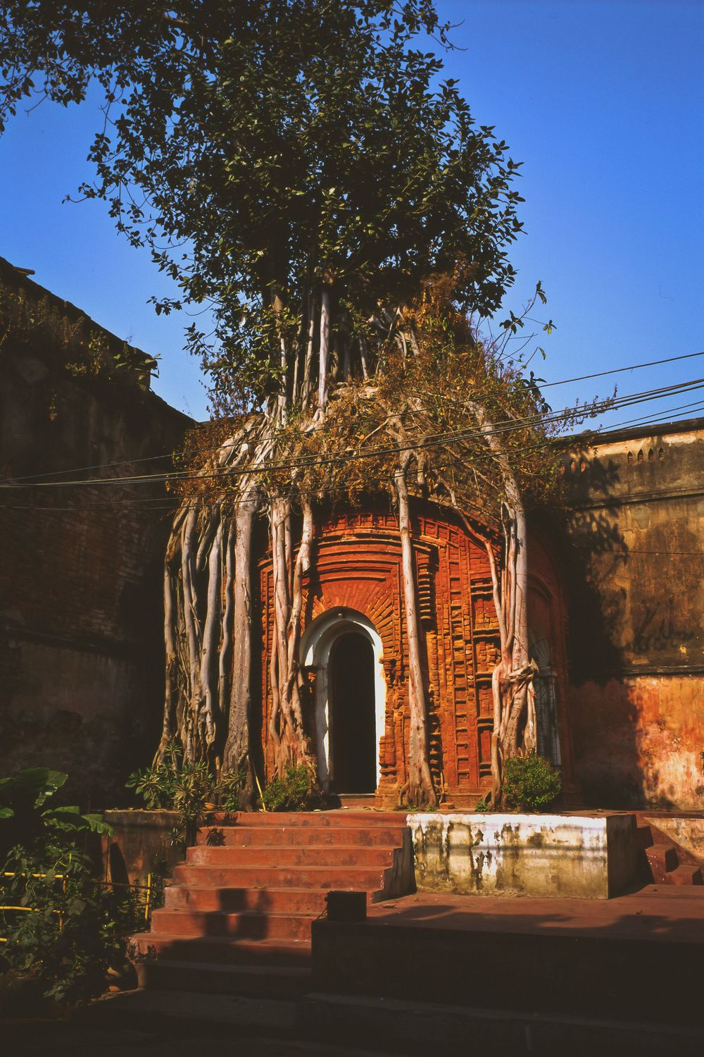 kolkata.india_08 copy.jpg