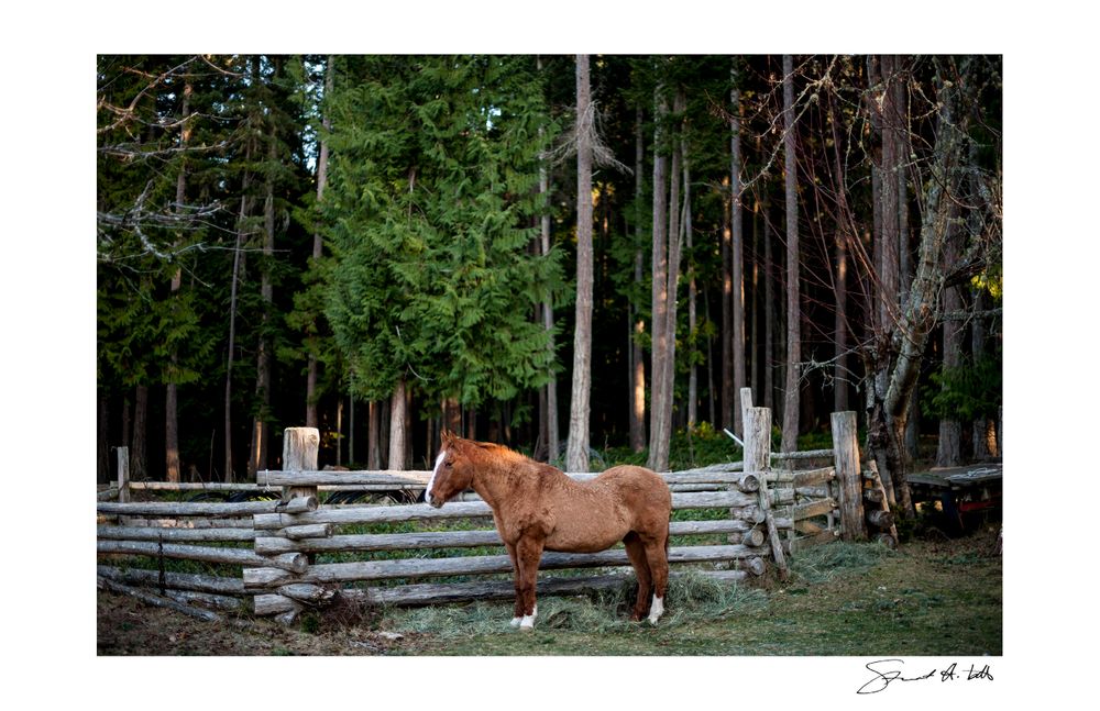 Lightroom (nick.fahey_19.dng).jpg