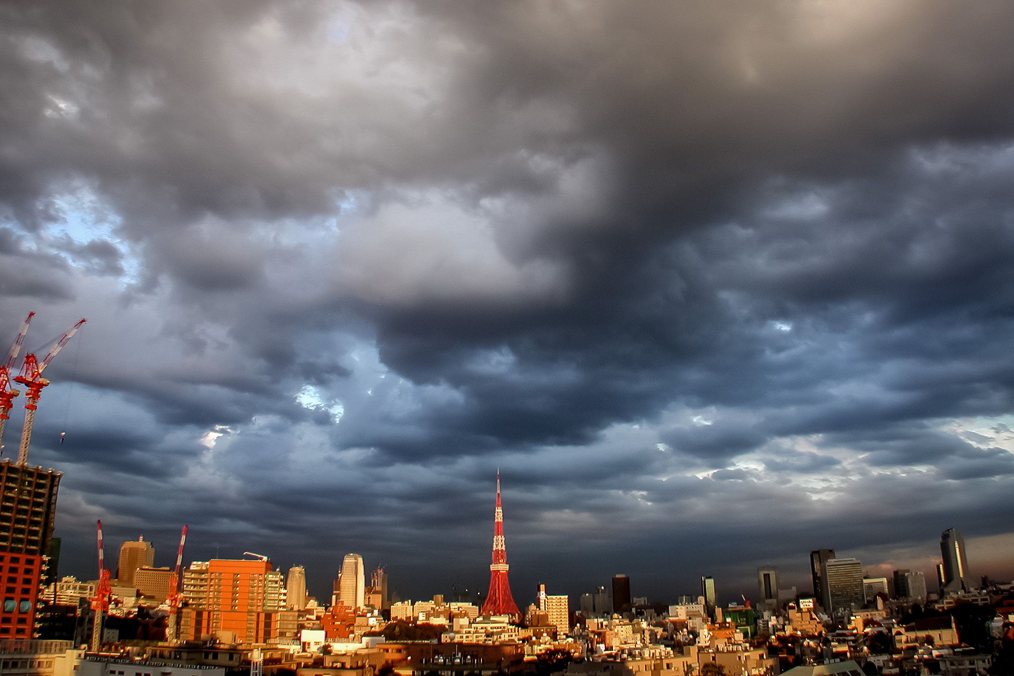 tokyo2018-06-14 at 1.07.33 PM 37-2.jpg