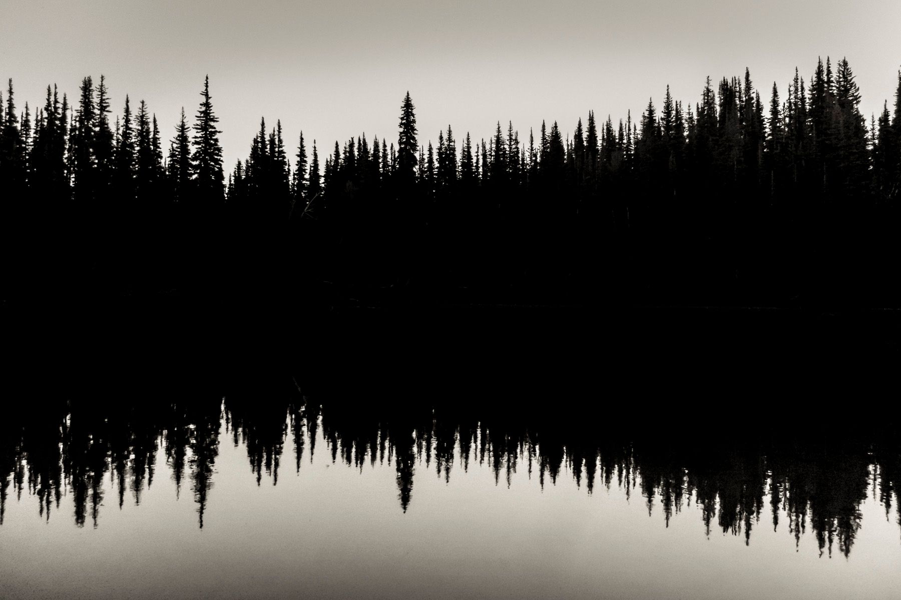 dscf8522.jpg
