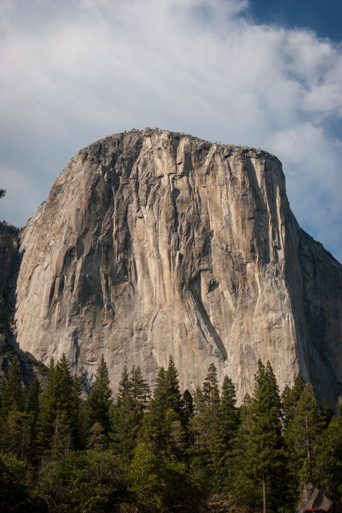 1600EstyCalif2023SF (1 of 1)-6.jpg