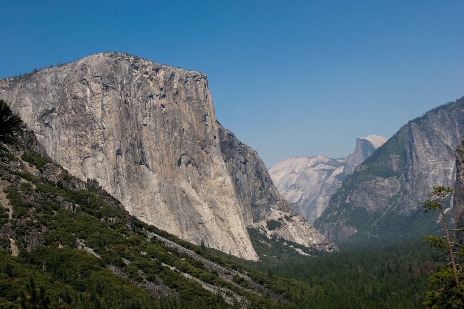 1600EstyCalif2023 (1 of 1)-11.jpg