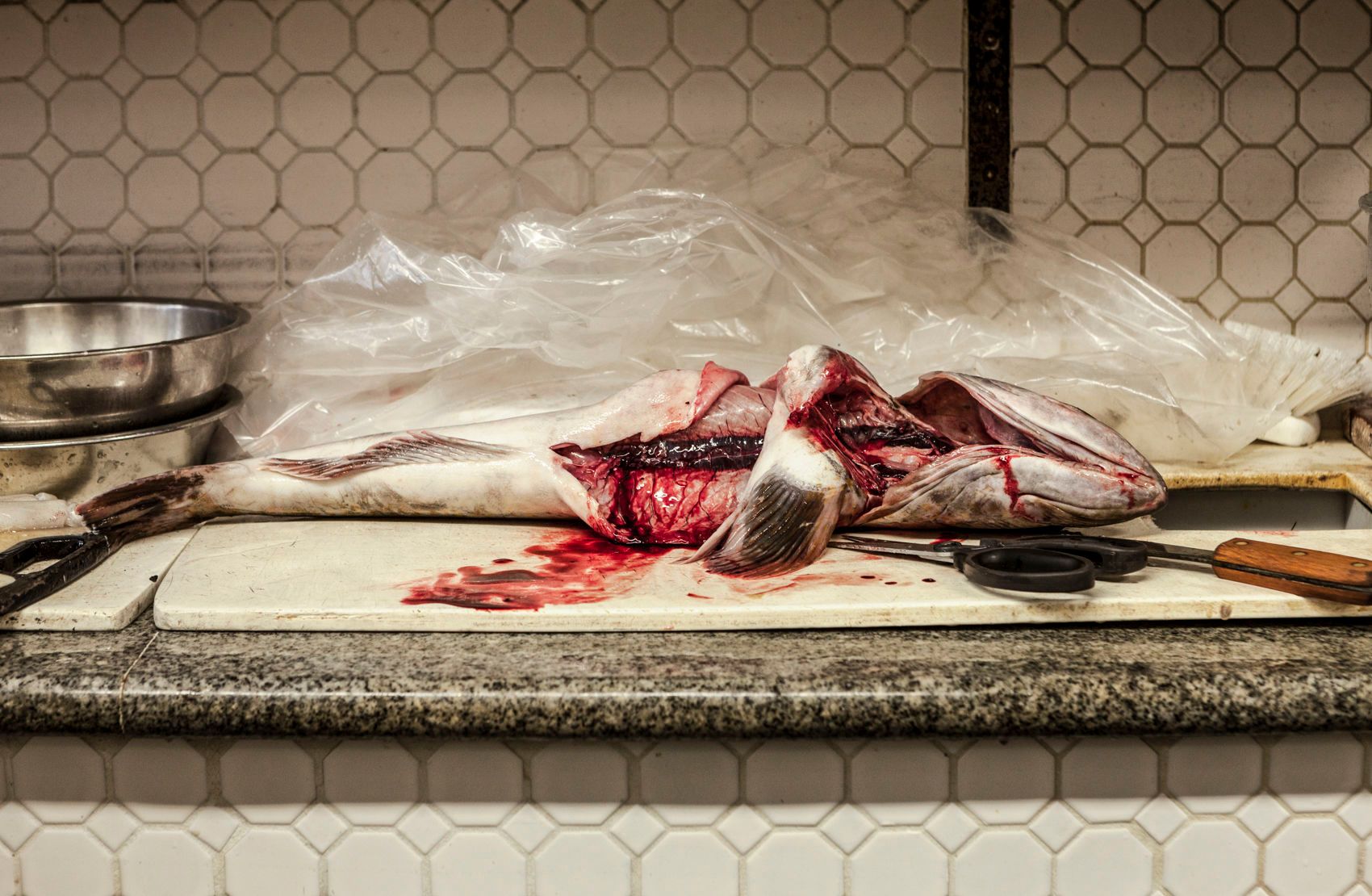 San Francisco's Oldest Restaurants