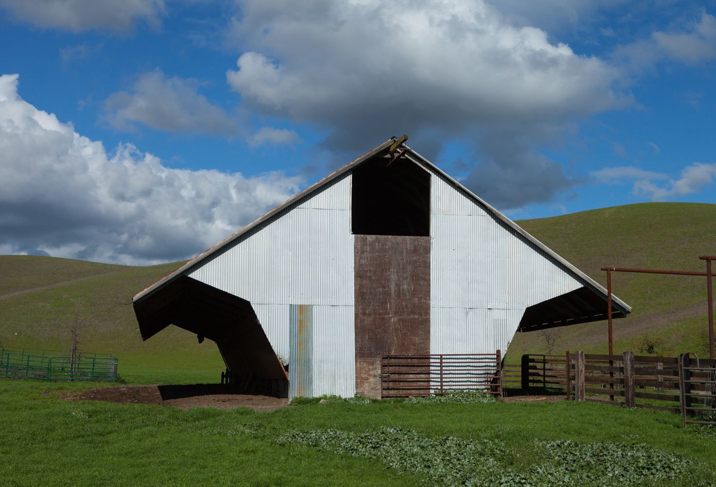 1600EstyGreenHill2023 (1 of 1)-9.jpg