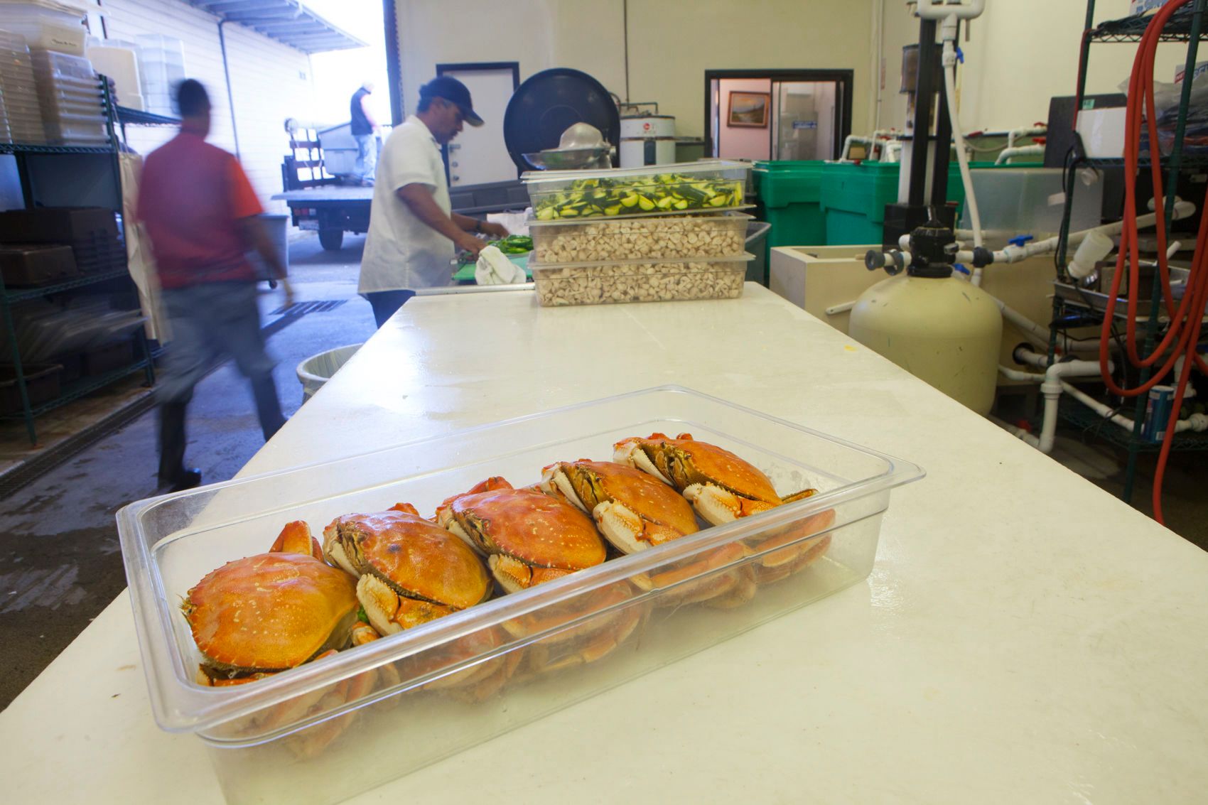 1san_francisco_rising_0439