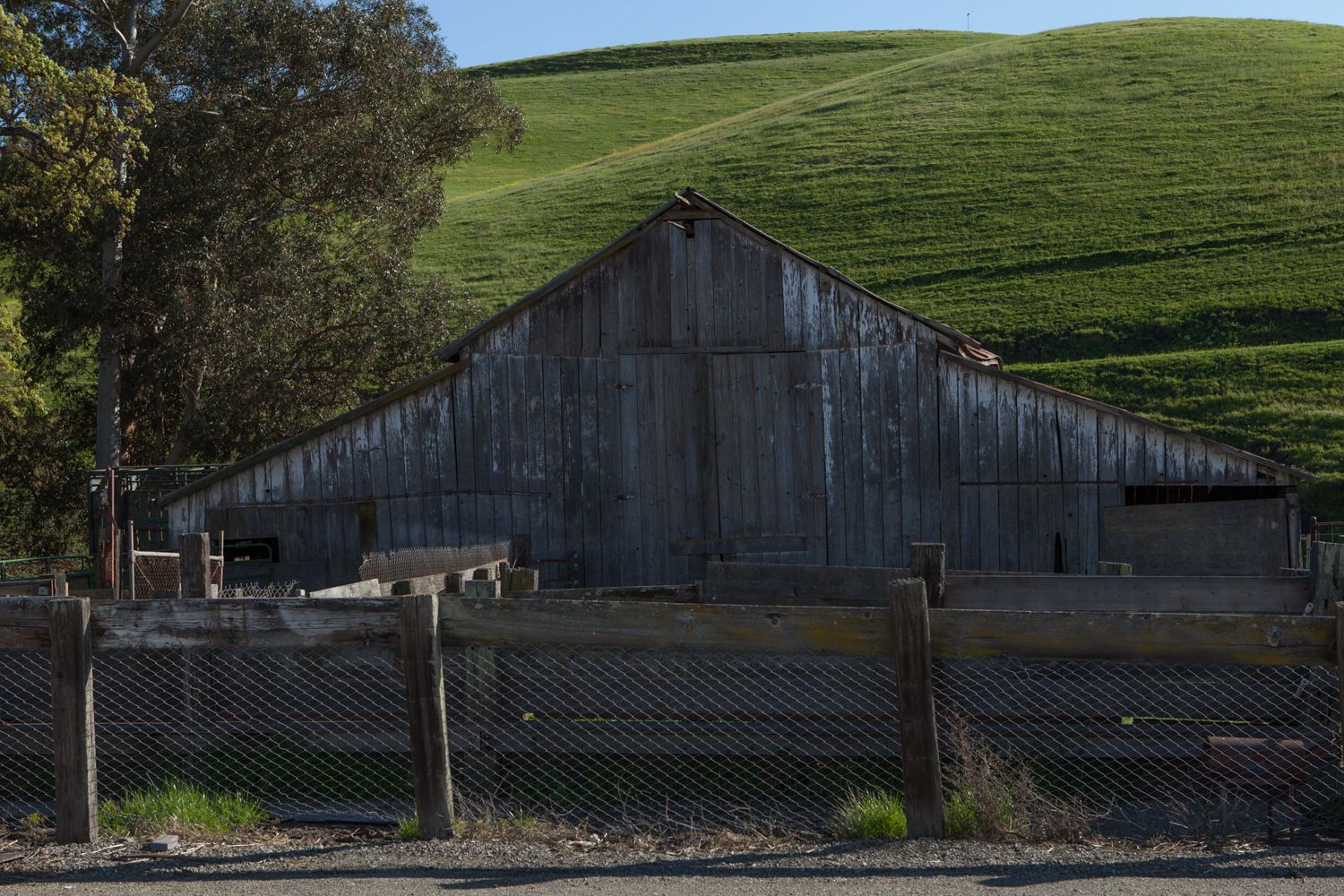 1600EstyGreenHill2023 (1 of 1)-5.jpg