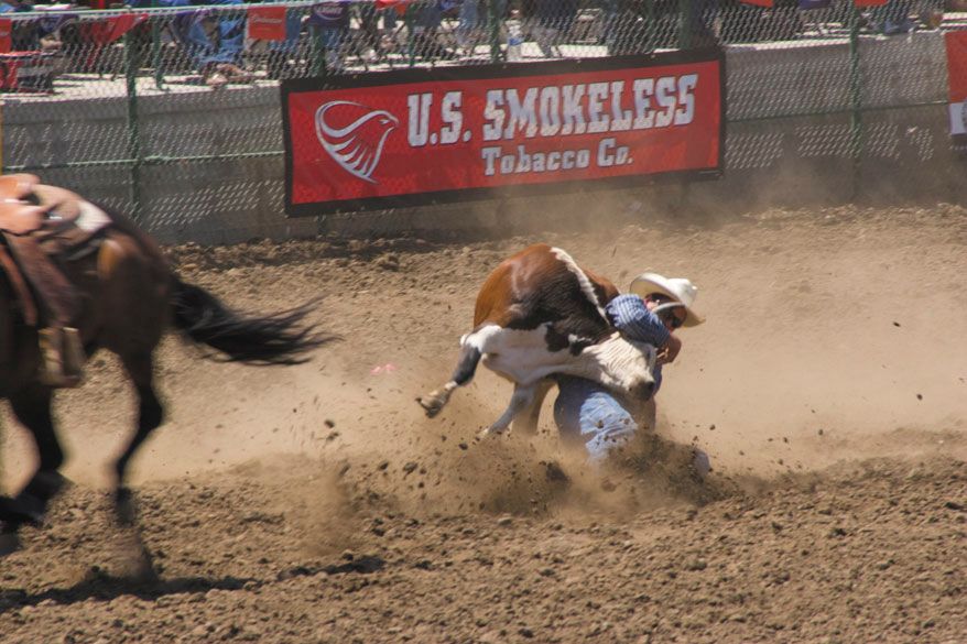 Cowboy steer wrestling at Rowell Ranch Rodeo         rodeog
