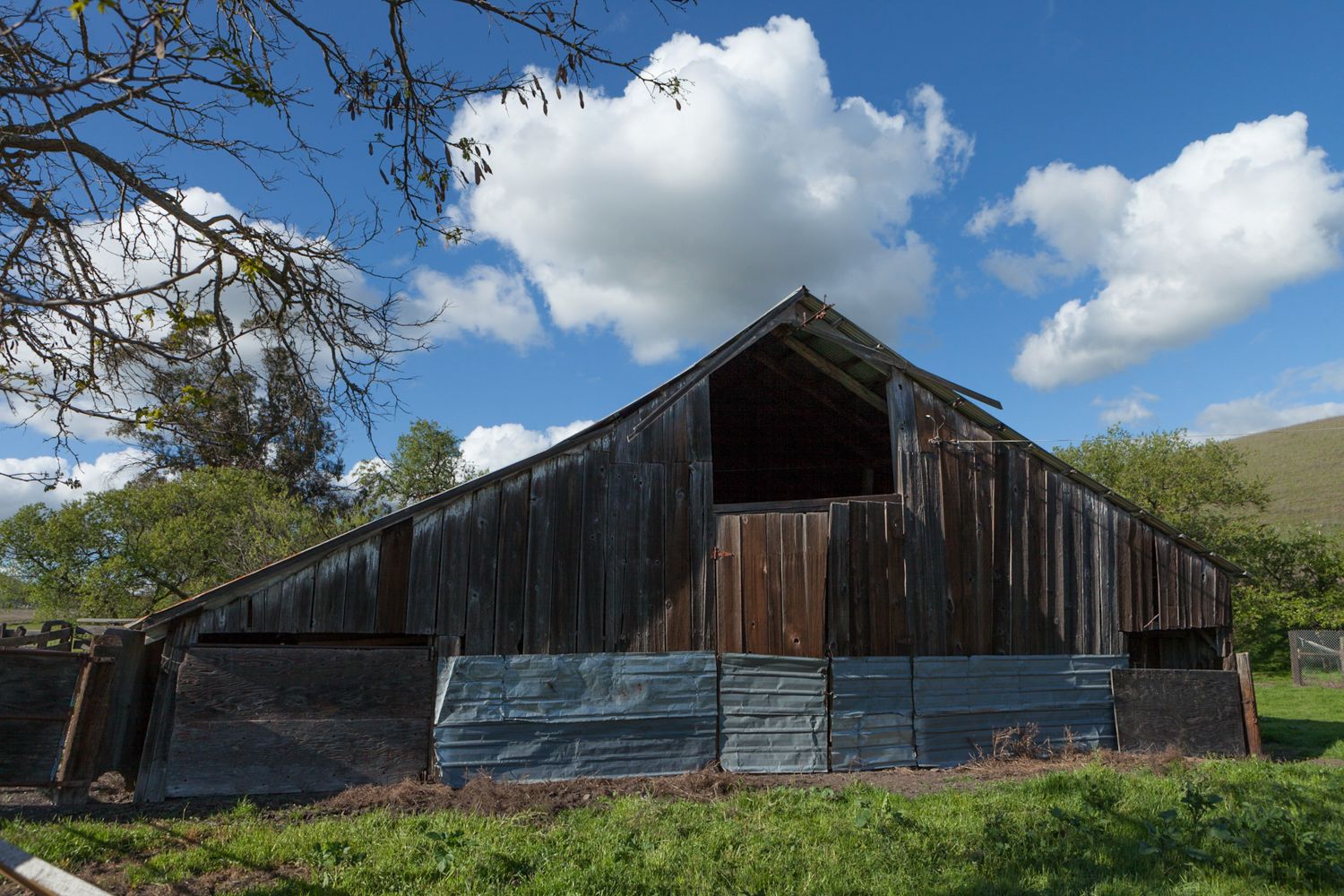 1600EstyGreenHill2023 (1 of 1)-6.jpg