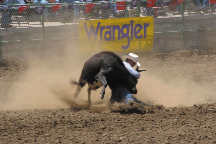 Steer Wrestling at Rowell Ranch California         jpg
