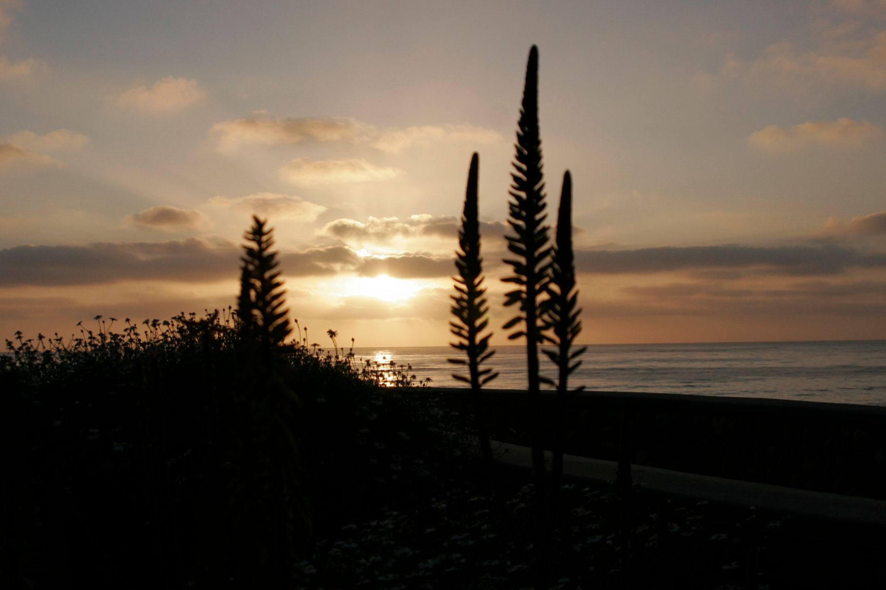 StreetArtBizIndustrial-8242 - Copy.jpg