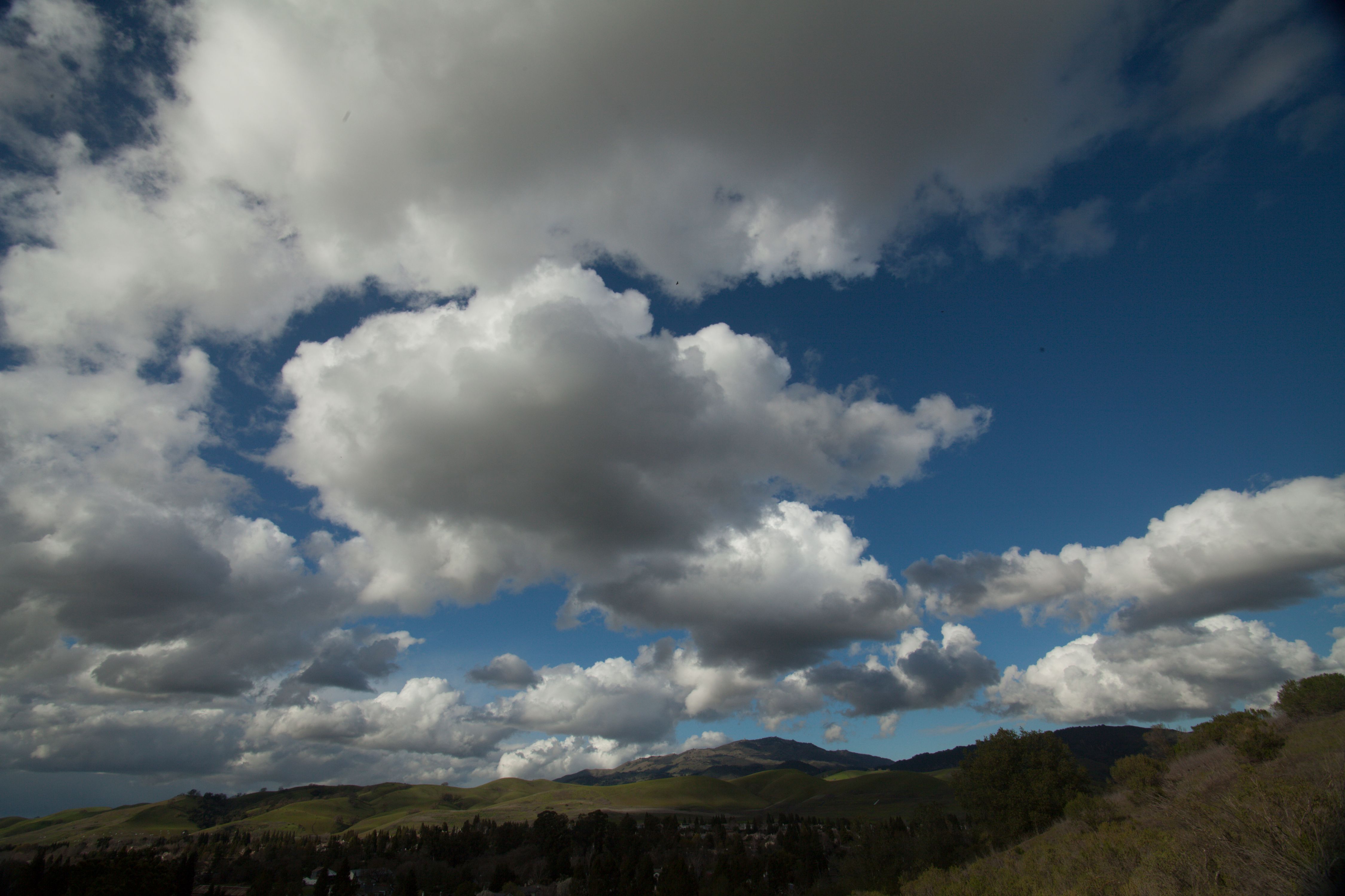 StreetArtBizIndustrial-0124 - Copy.jpg