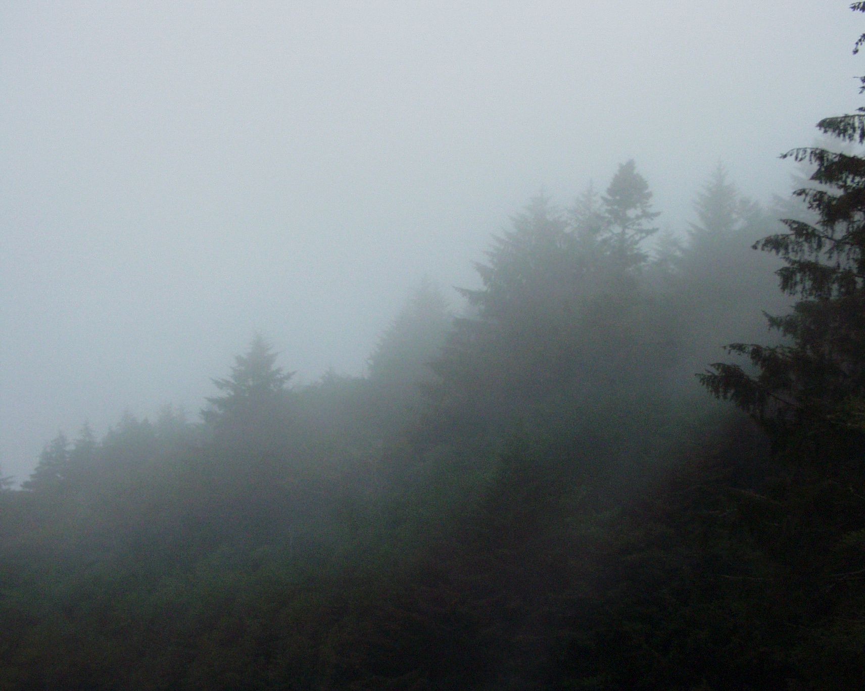 StreetArtBizIndustrial-7120192 - Copy.jpg