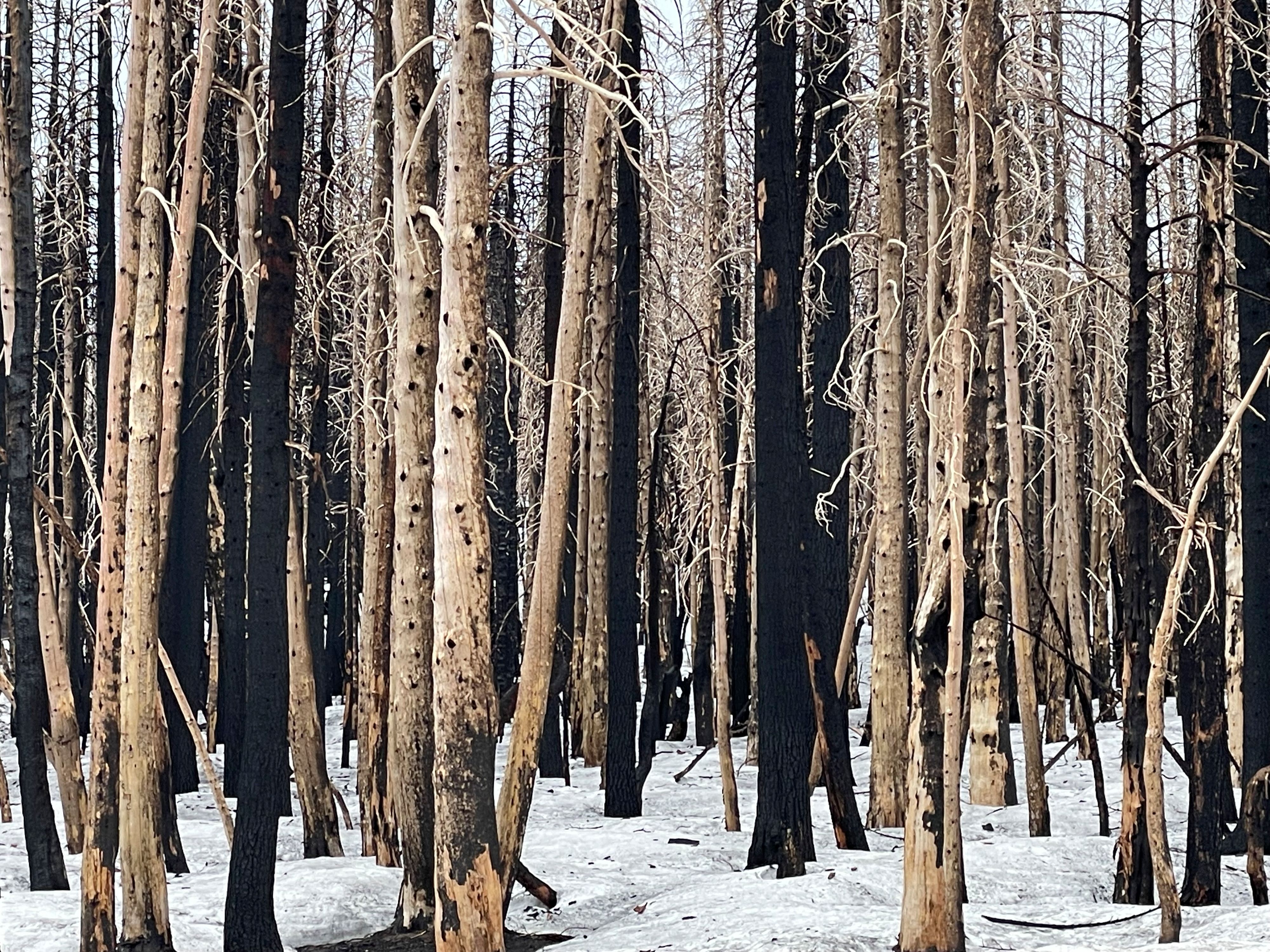 StreetArtBizIndustrial-5691-2 - Copy.jpg