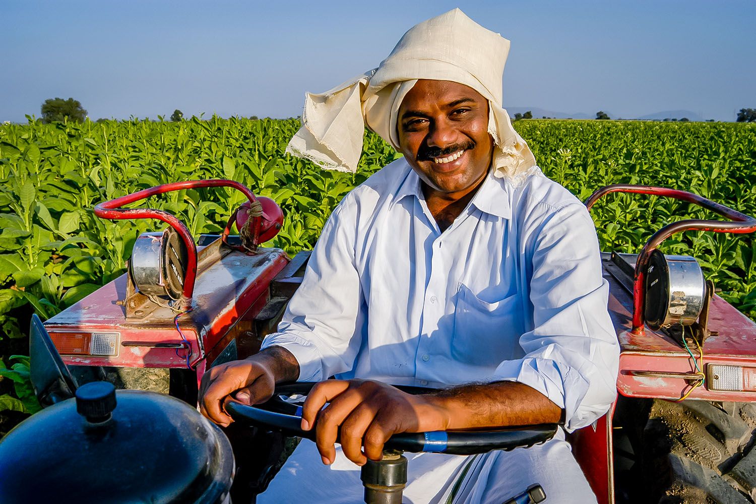 TOBACO FARMER_1.jpg