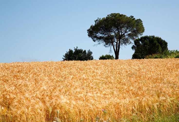 1Italy0374