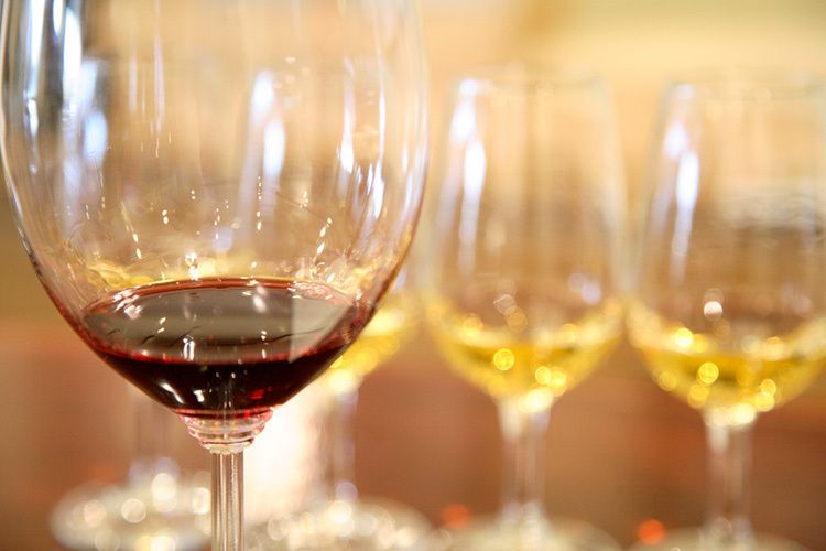 1Napa07_4886