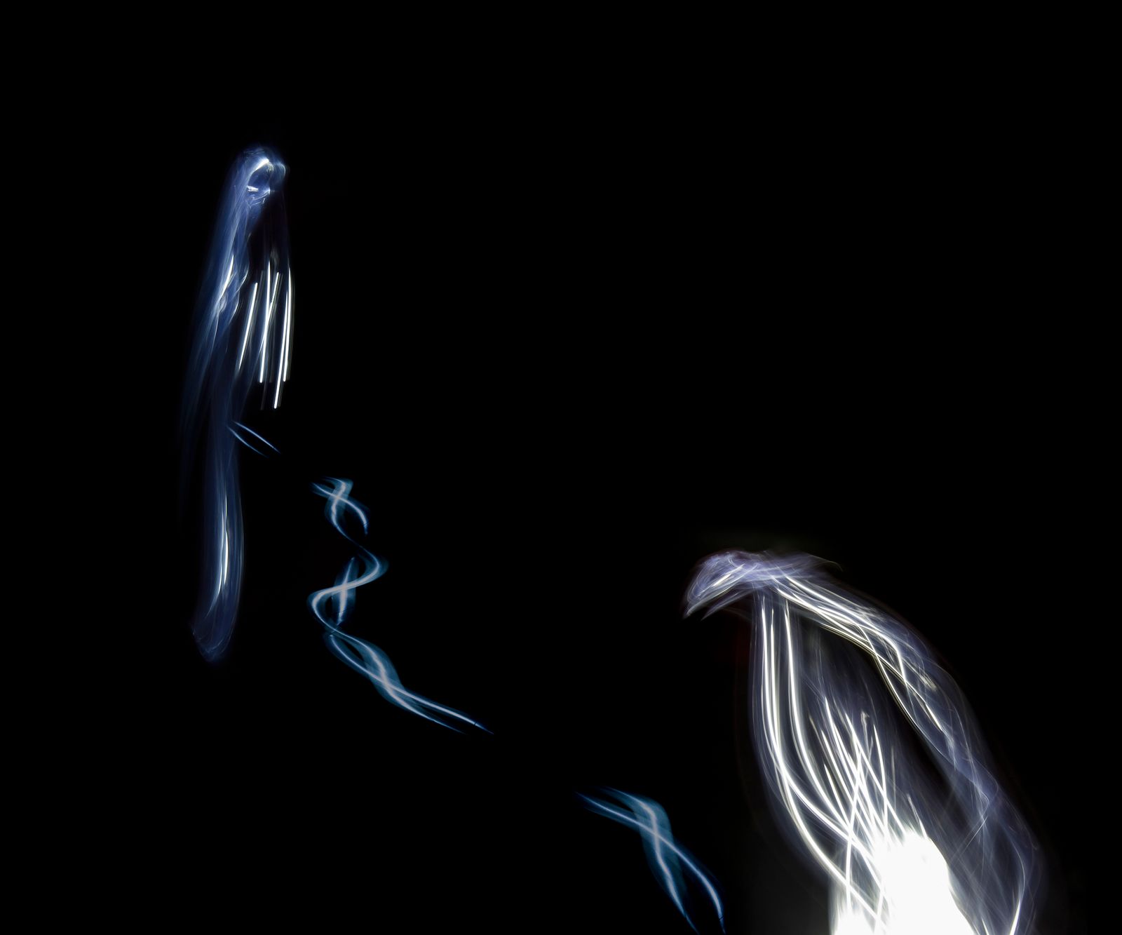 Oh How She Cried-updated.jpg