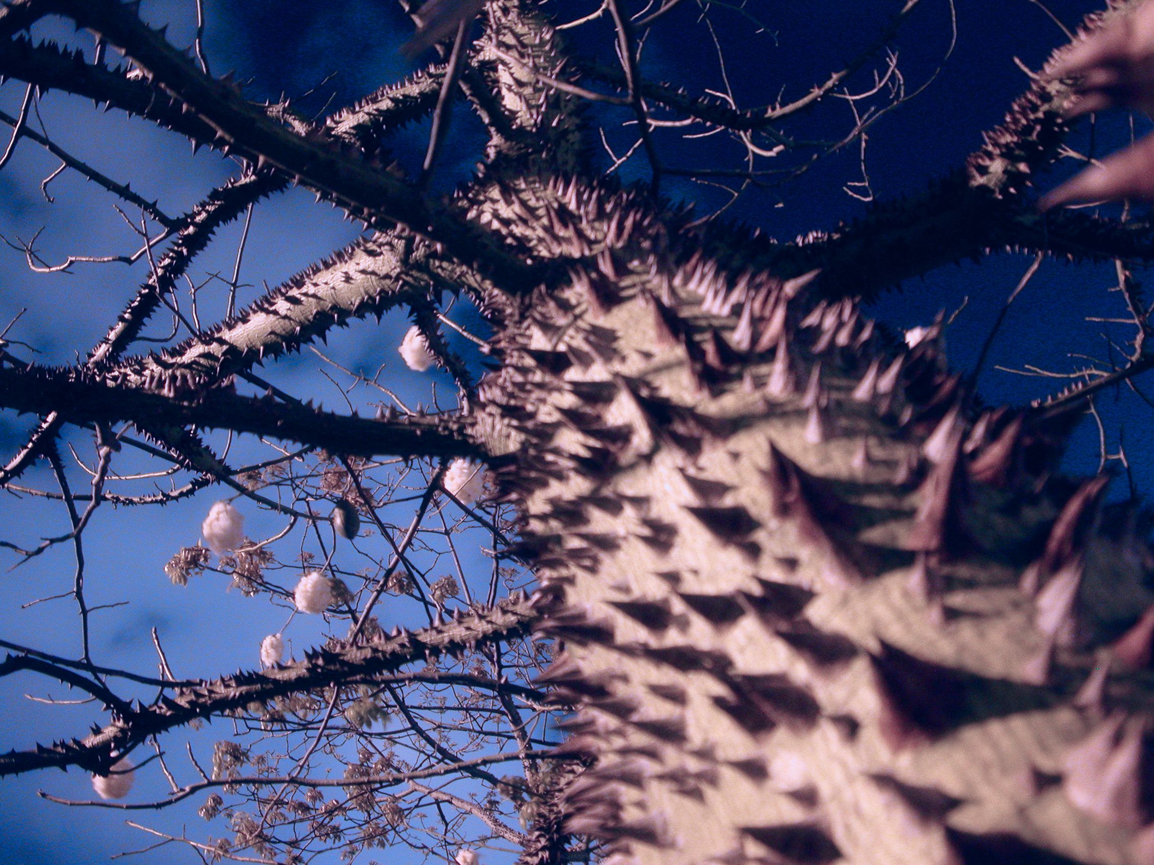 02 - connecticut-advertising-photographer-16.jpg