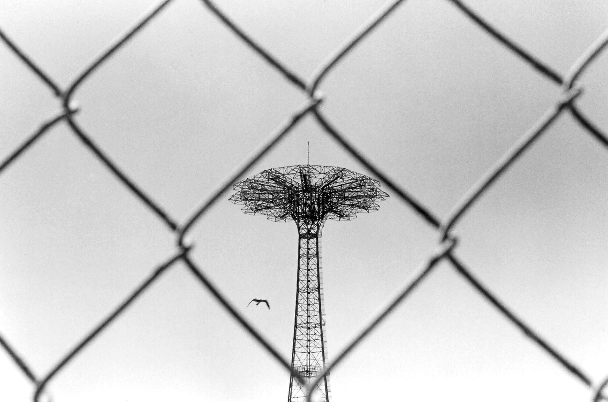 05 - ParachuteBird-full.jpg