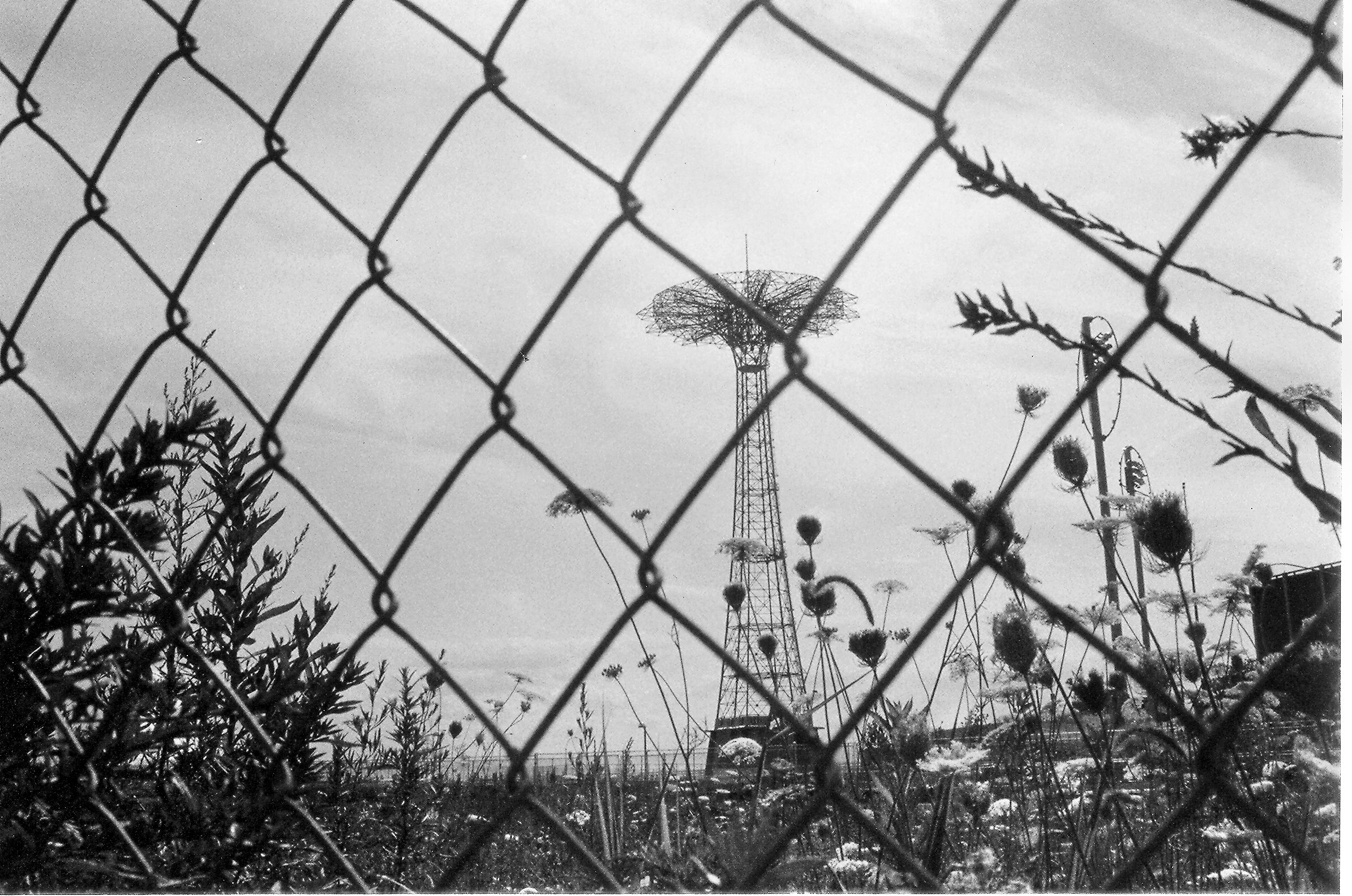 37 - AllSummerLong-full.jpg