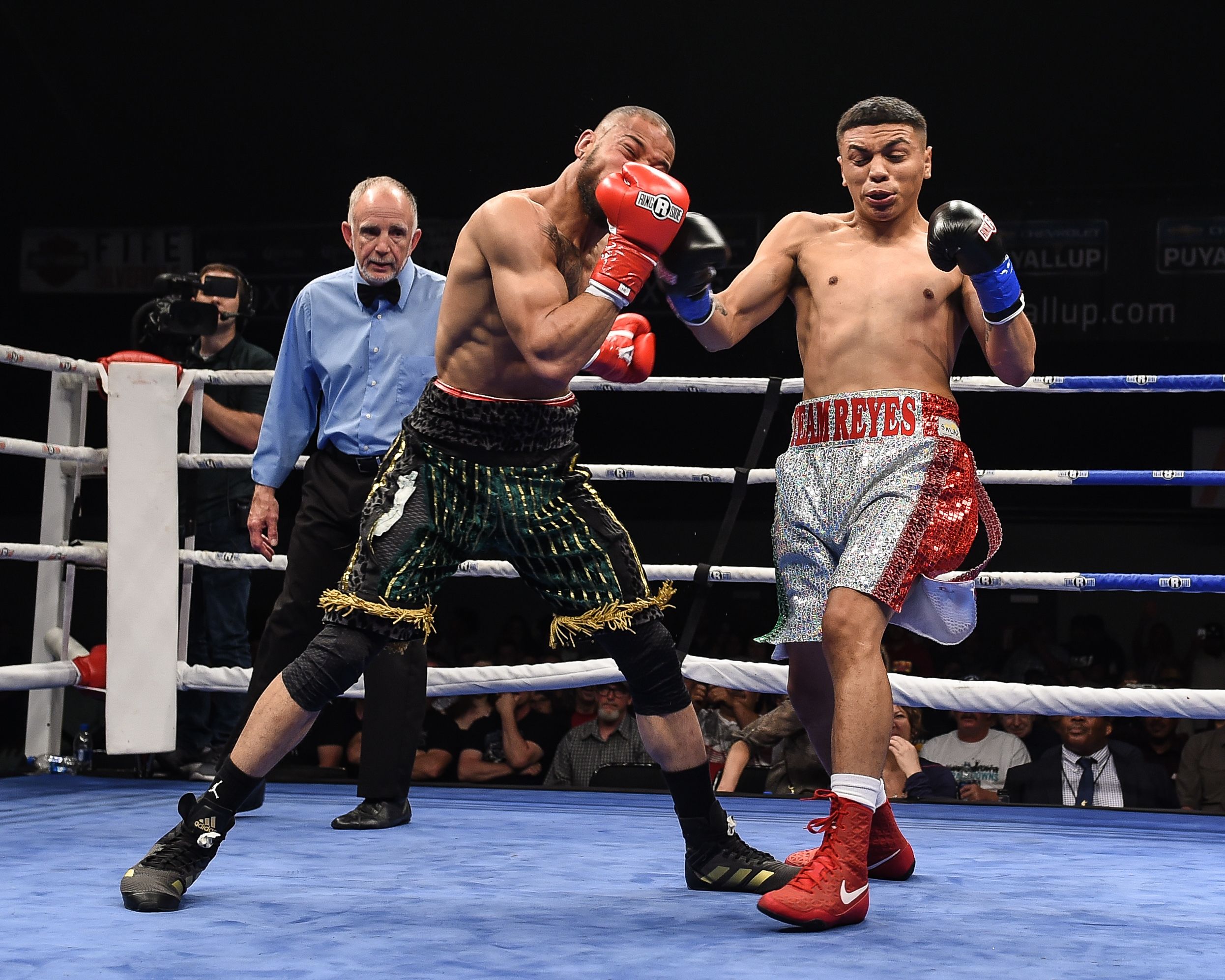 Professional Boxers, 2019