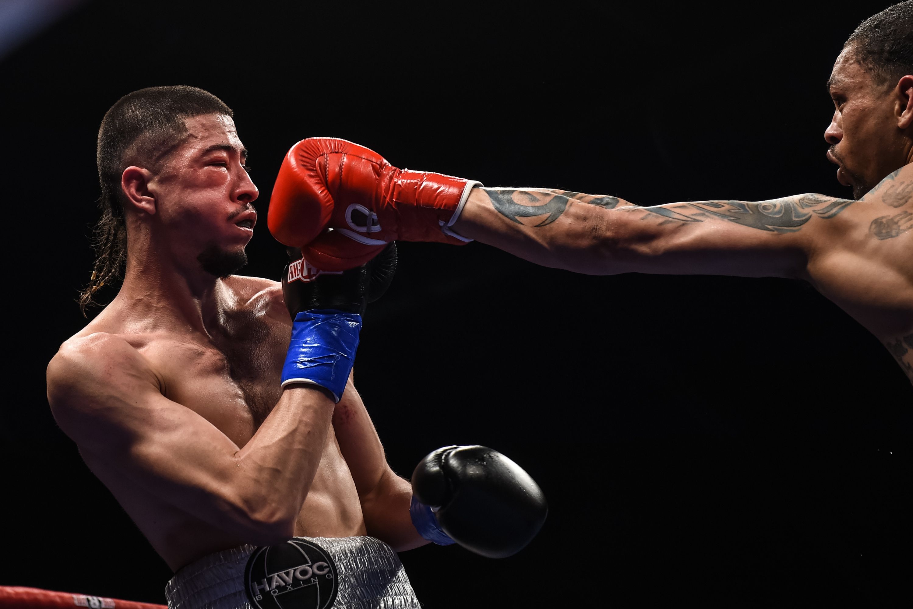 Professional Boxers/2019